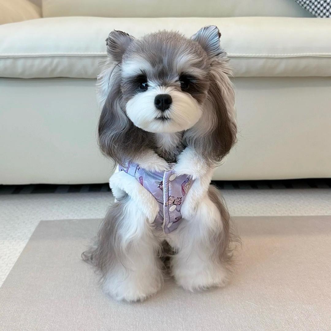 香香宝贝