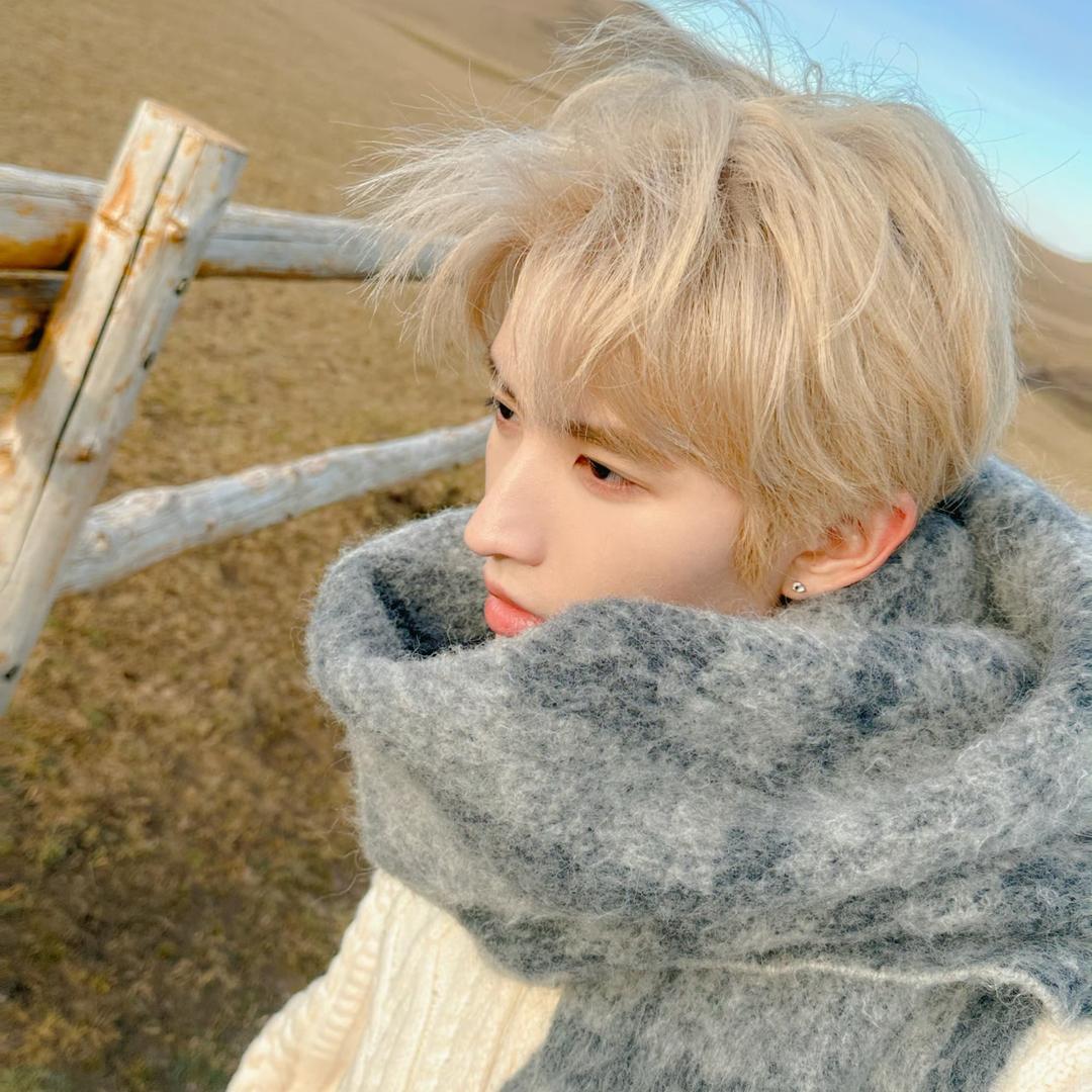 灯塔上的雾🌫️