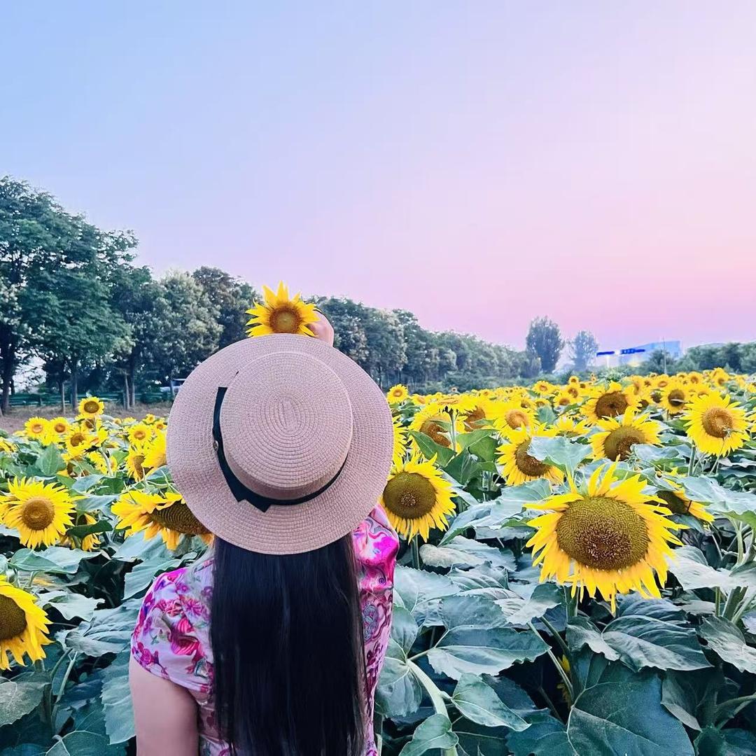 不粘人的小妖精💋