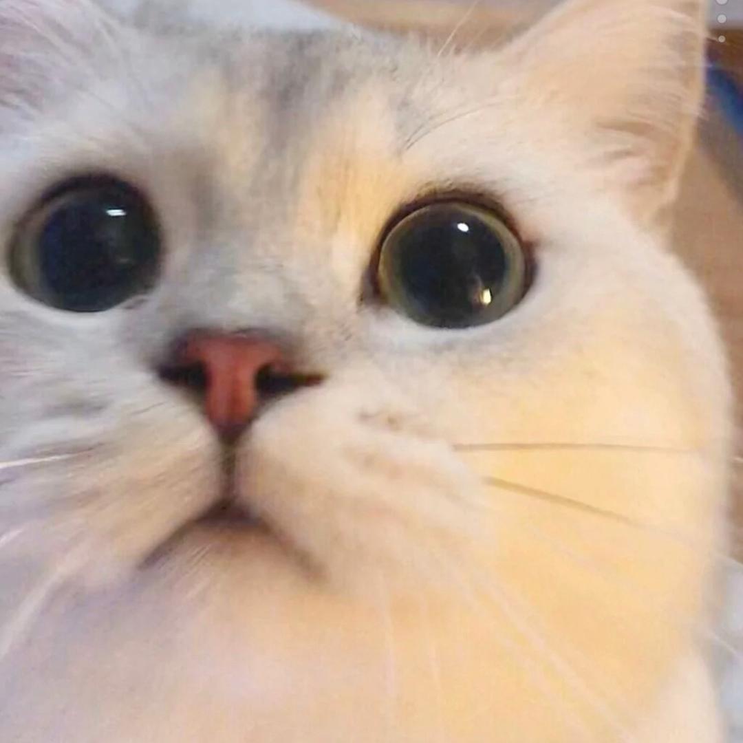 小洁🎱
