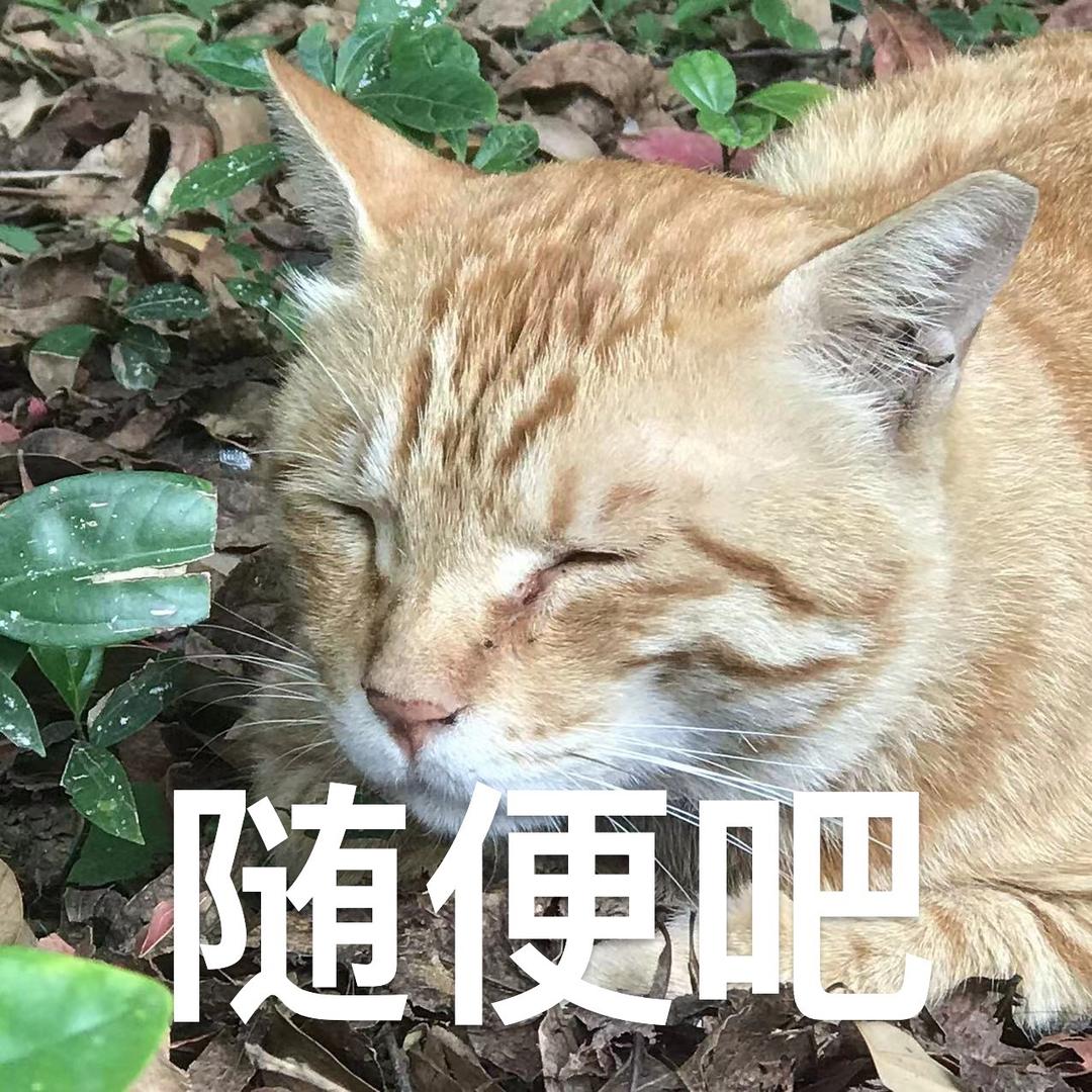 便宜的券到底咋刷出来啊！  头像