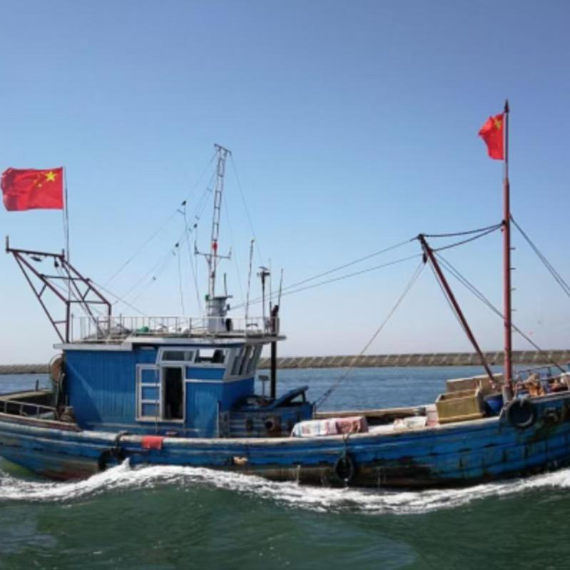 小敏青岛码头直发（鲜鱼）