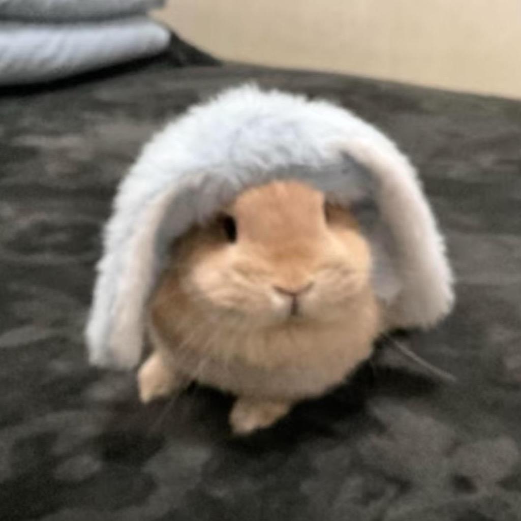 VV