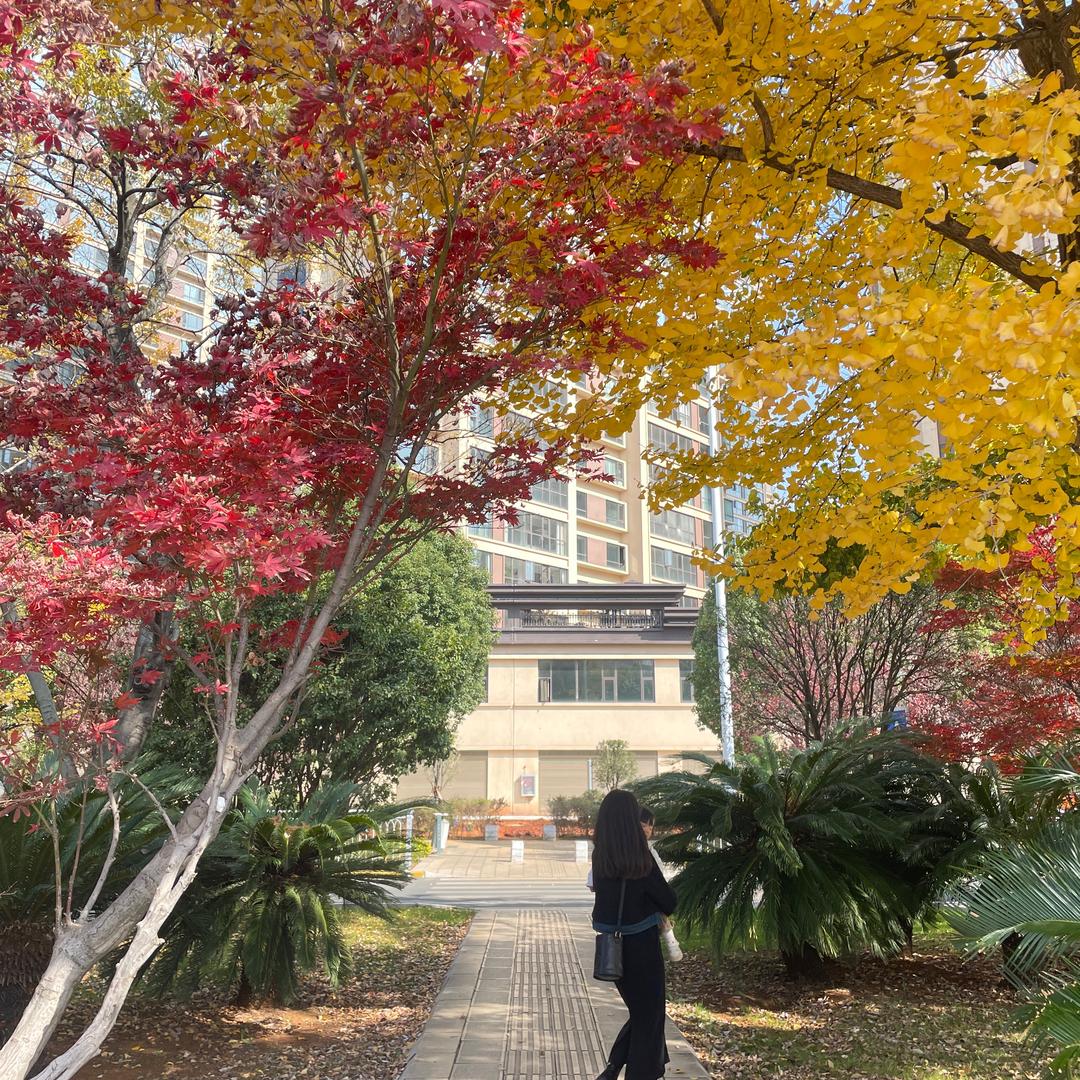 阿苏的生活分享