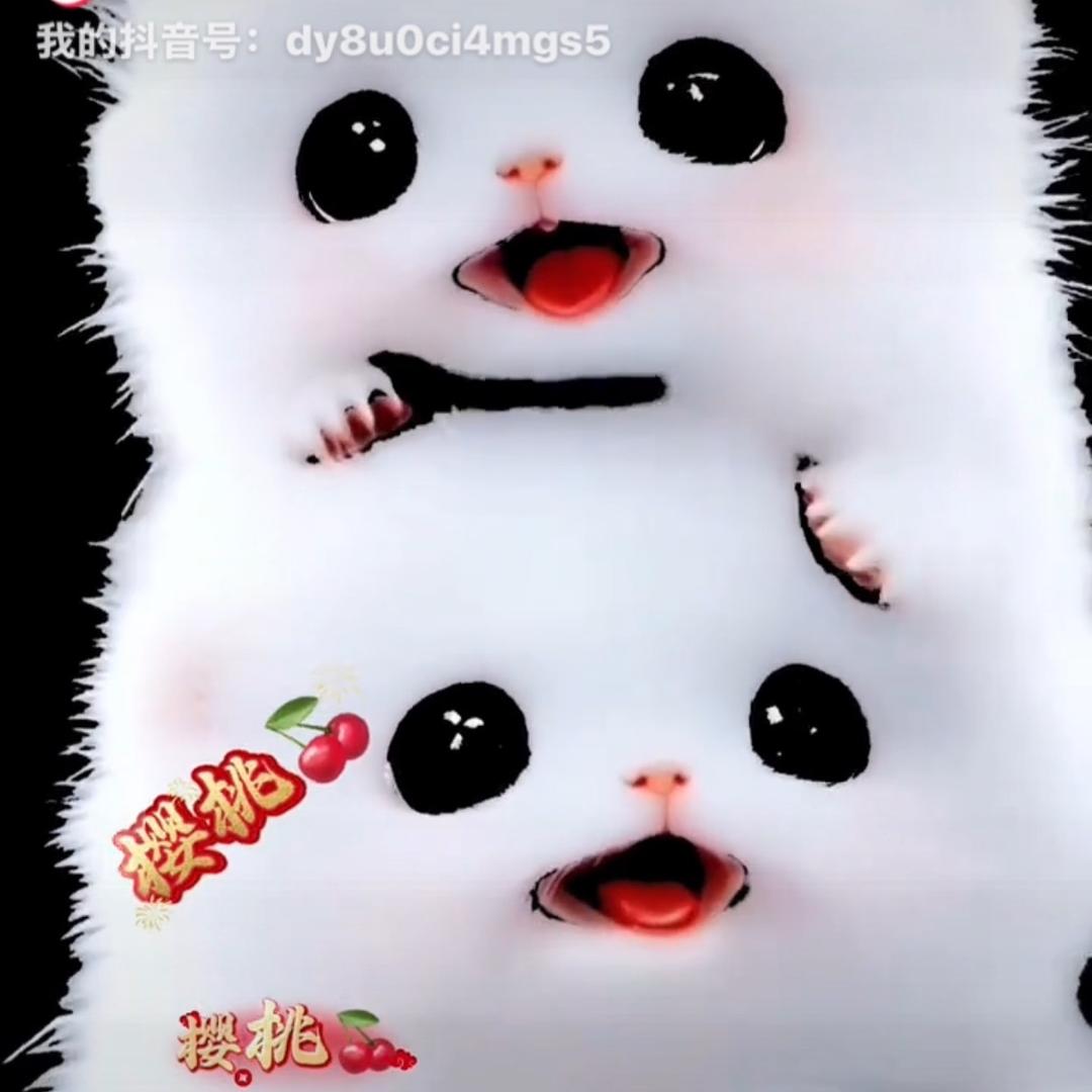 樱桃🍒的快乐每一天