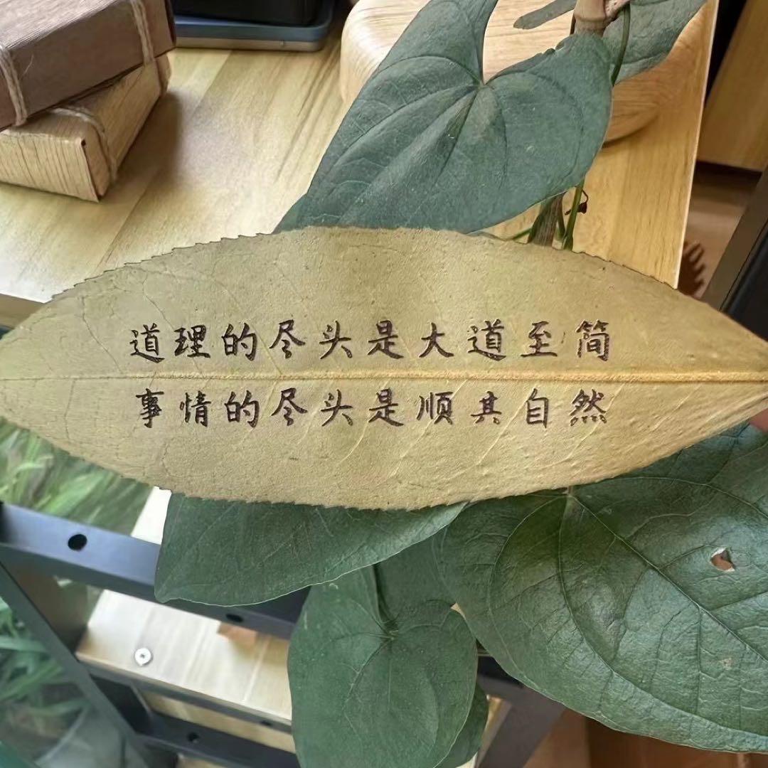 老茶号