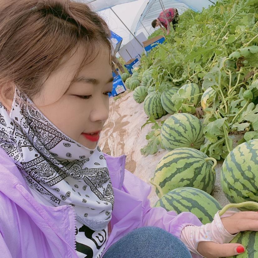 小蜜枣