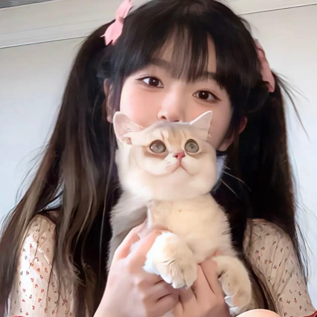 失眠小羊a