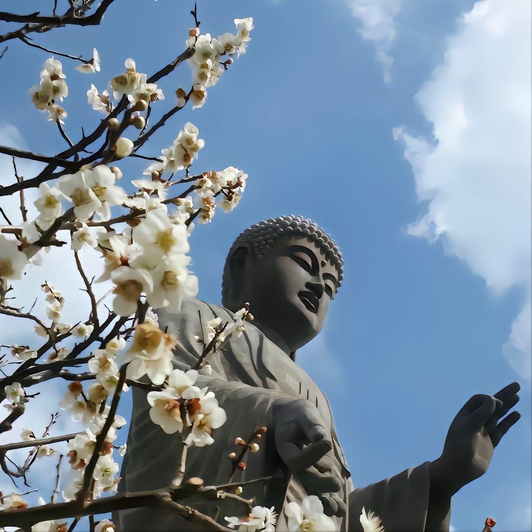 怀化市土物地祥创意生活坊