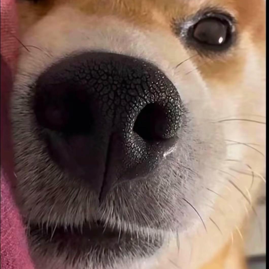 休息好了