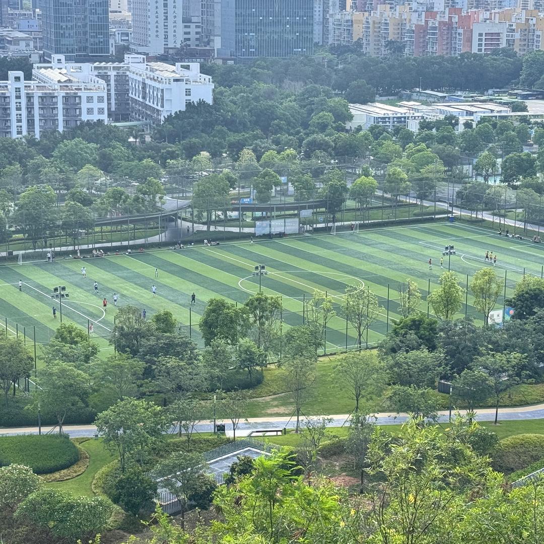 雾里看花一生走万里