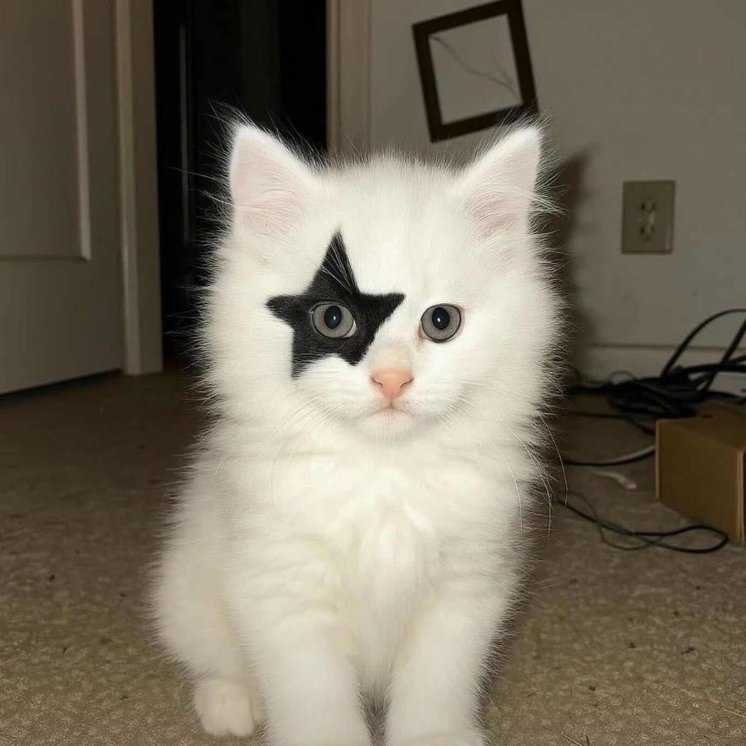 把片加满🏋🏽