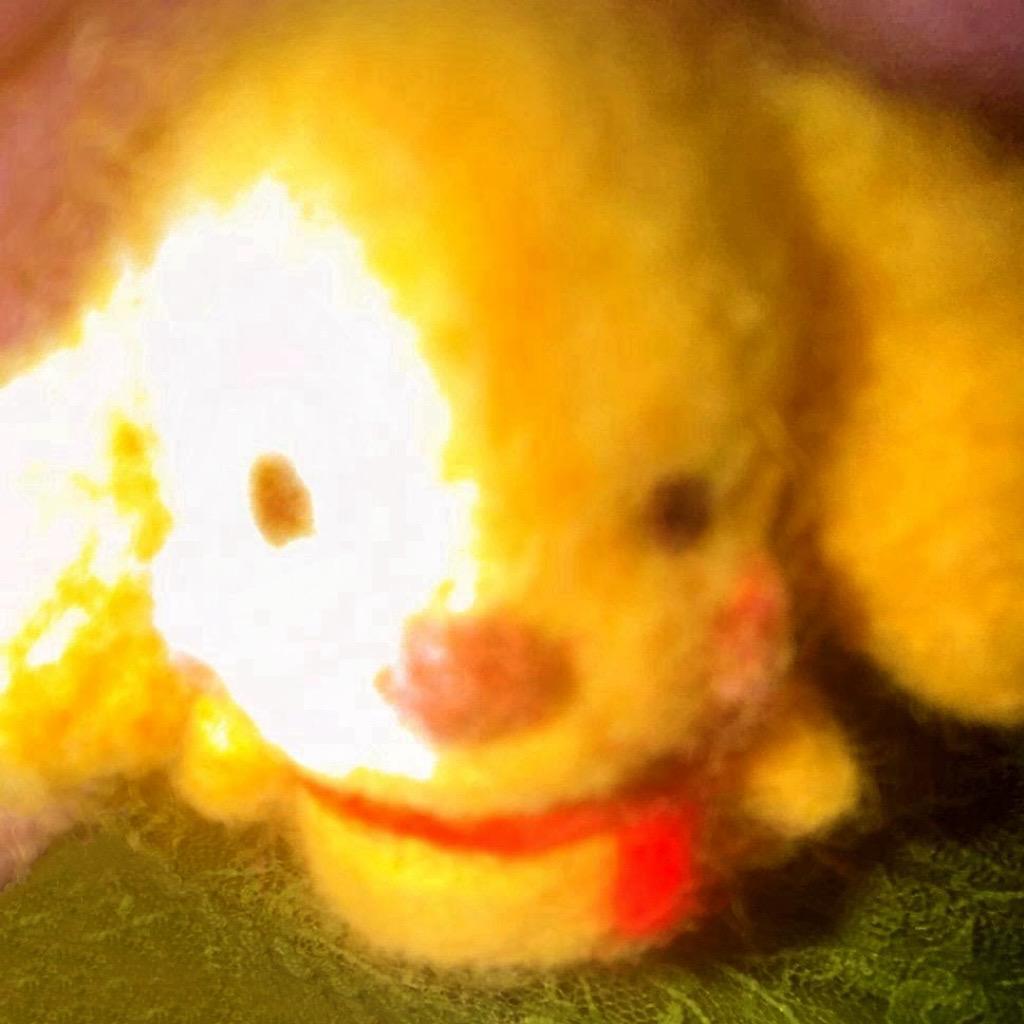 第11个音符