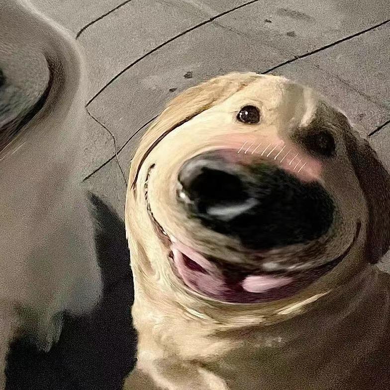 ㍿㌫㍿㌫㍿㍿㌫
