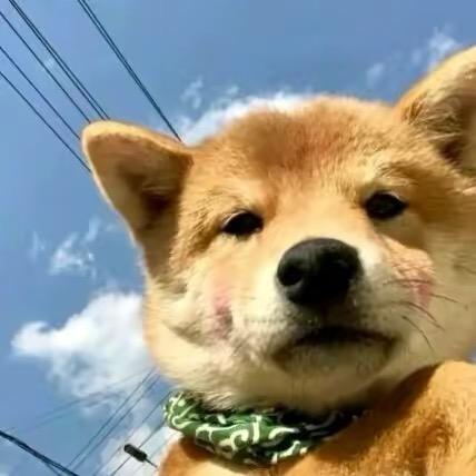 别骂了我真没手