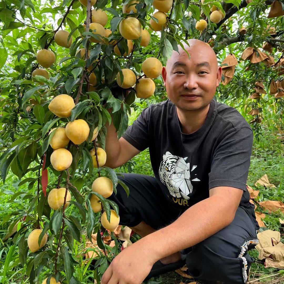 晴隆县裕隆果业种植基地