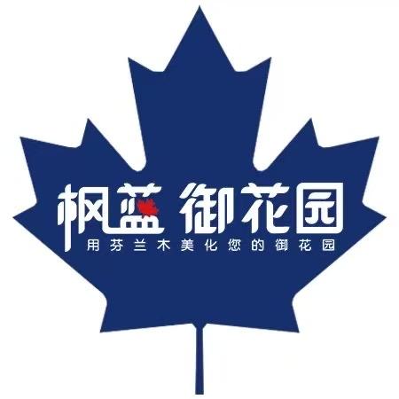 沈阳枫蓝御花园景观