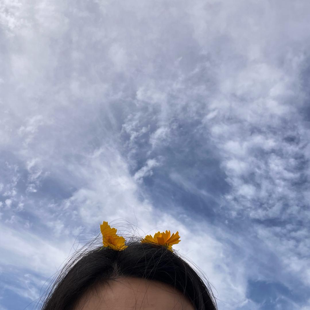 三七·国风棉花衣的头像