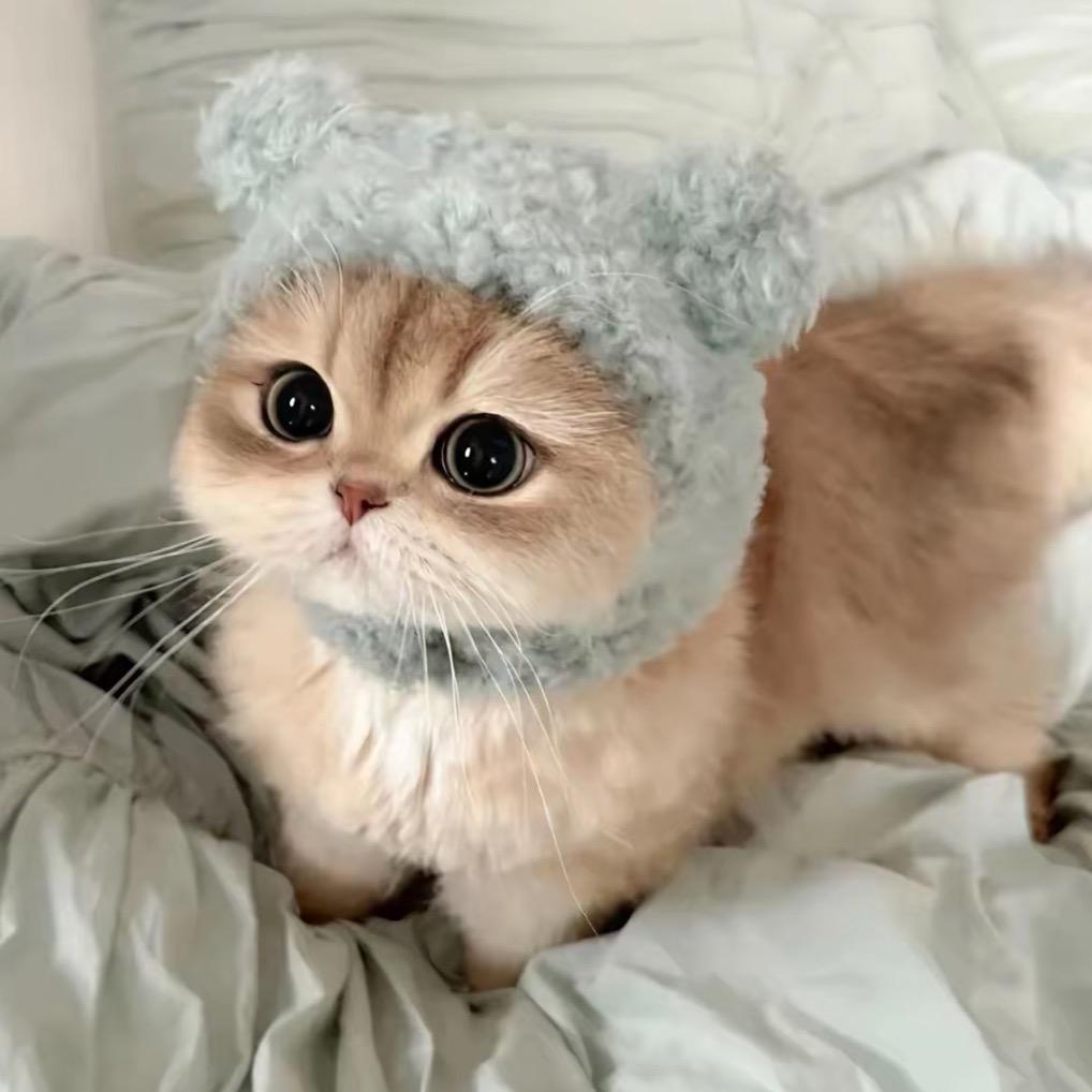 阿比家庭繁育精品