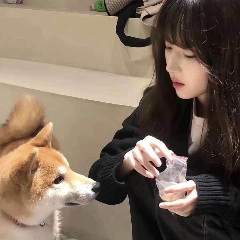 小羊羊羊🐑