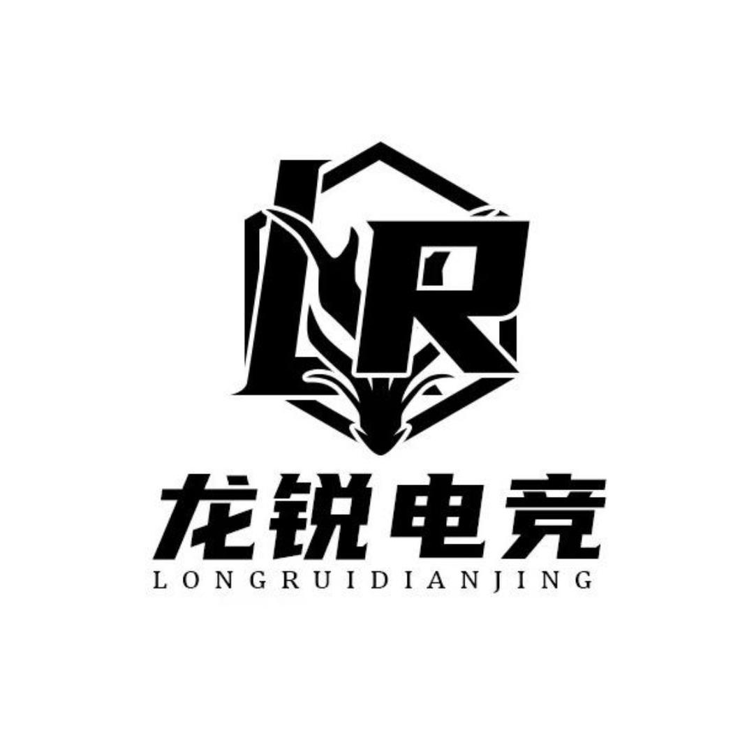 龙锐电竞（招pc高手）