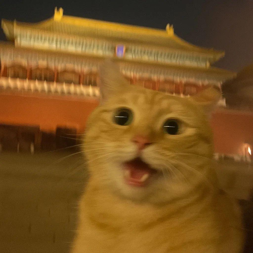 俺又失眠了