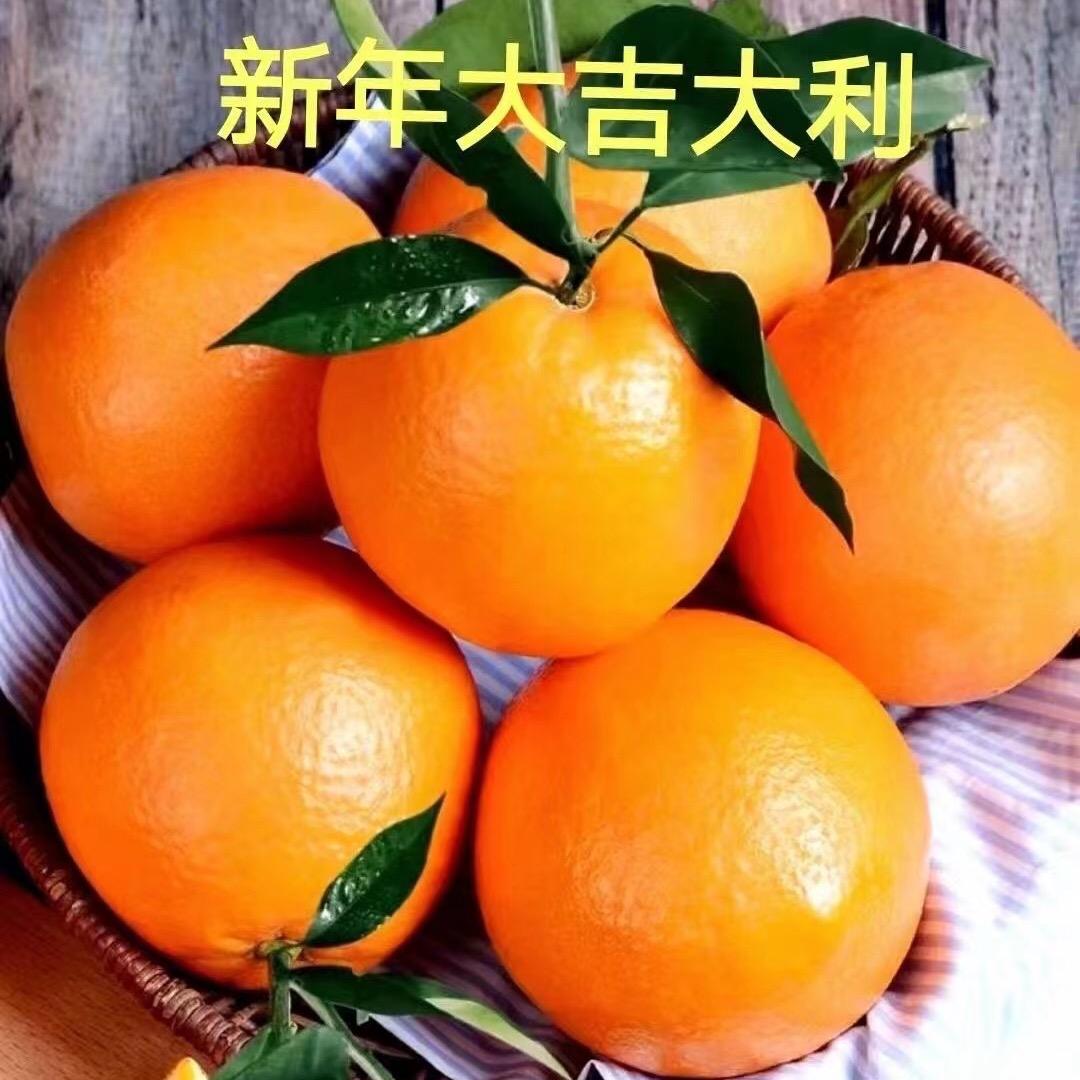 天天乐