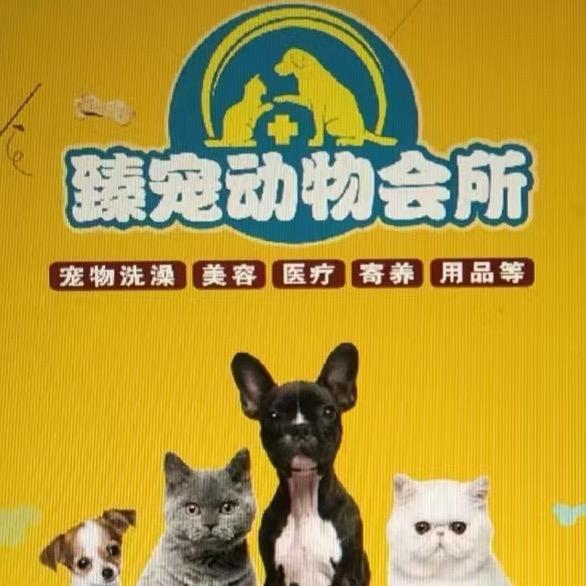 臻宠动物会所红山路店