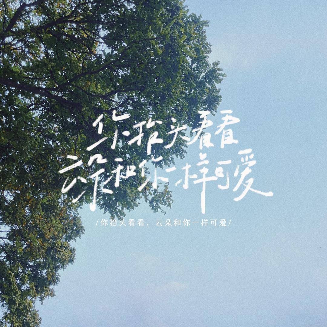 小北的纪录片