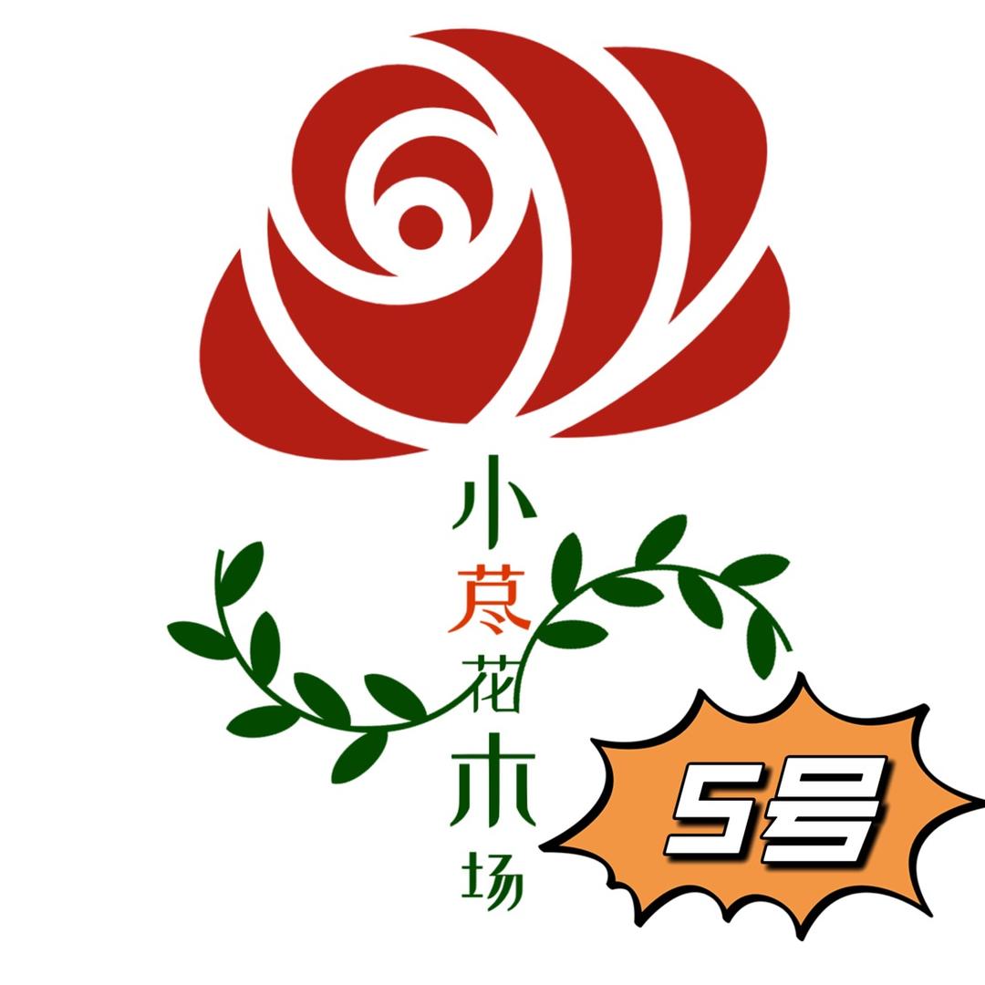 小荩杜鹃5号