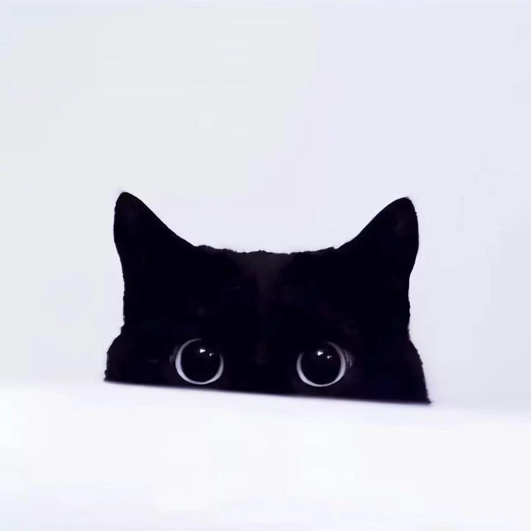 ㅤ𝓫𝓪𝓮