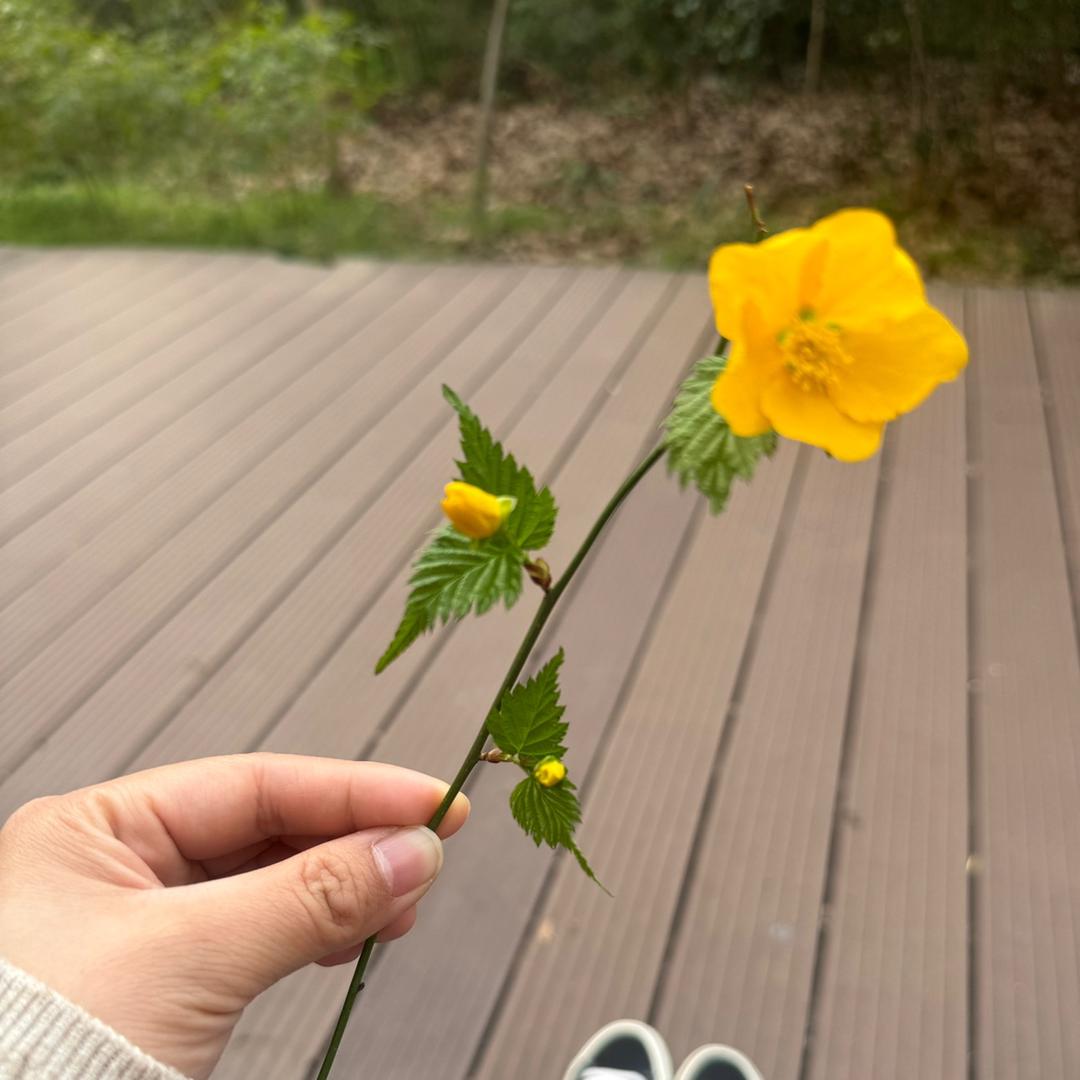 @籽儿🌸