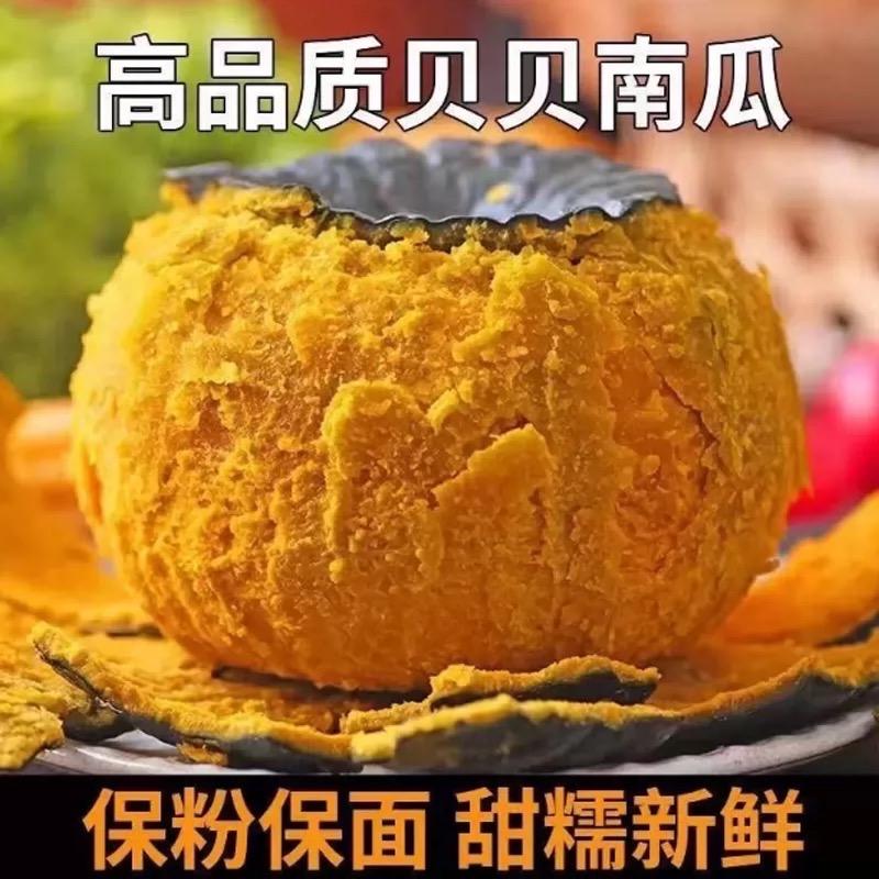 新疆正宗贝贝南瓜