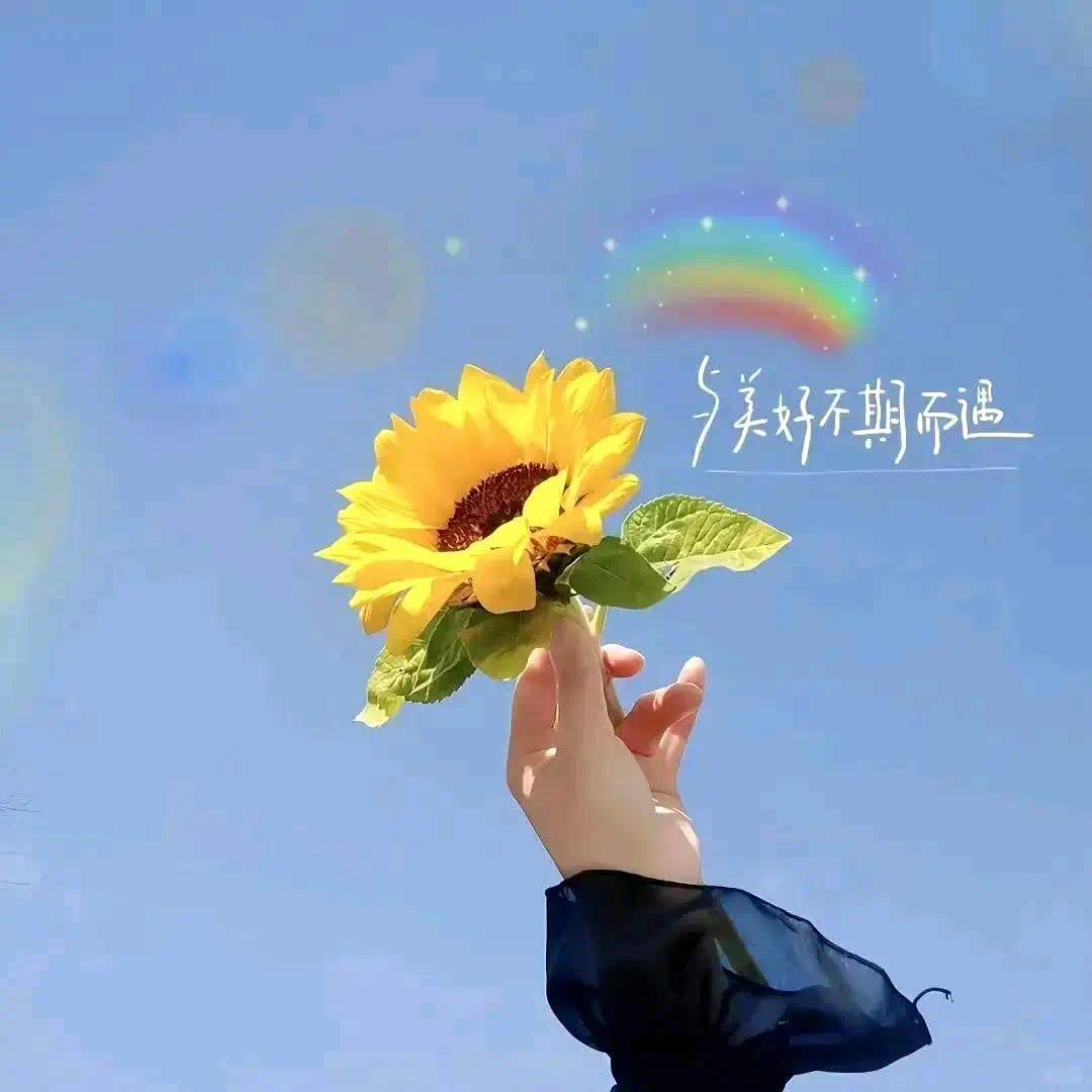木子不是李🌟