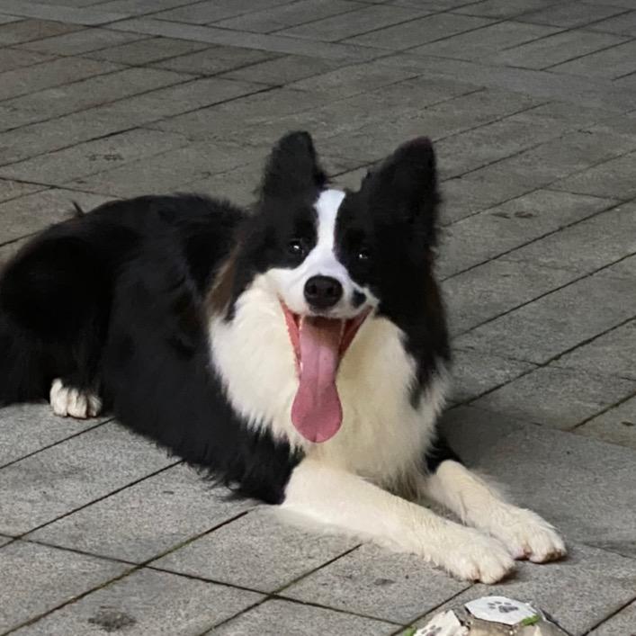 时光 的河入海流