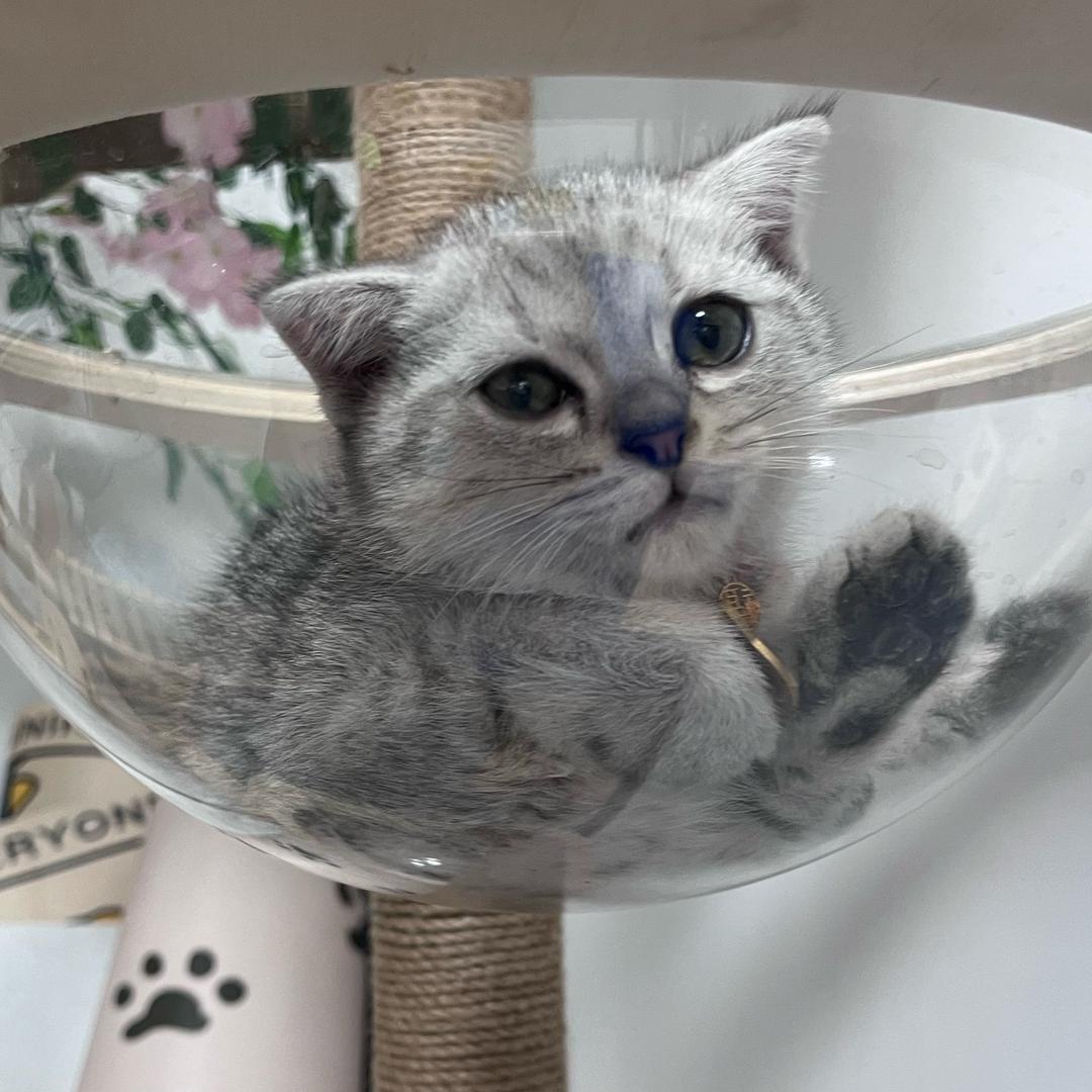 辛宠萌宠物用品