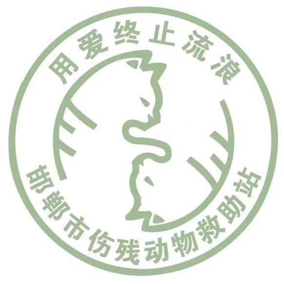 用爱终止流浪