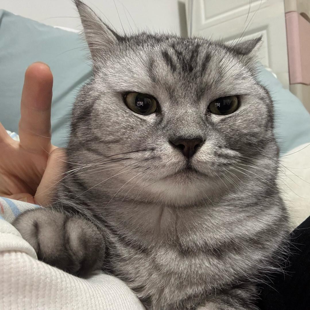 诗嗯沈