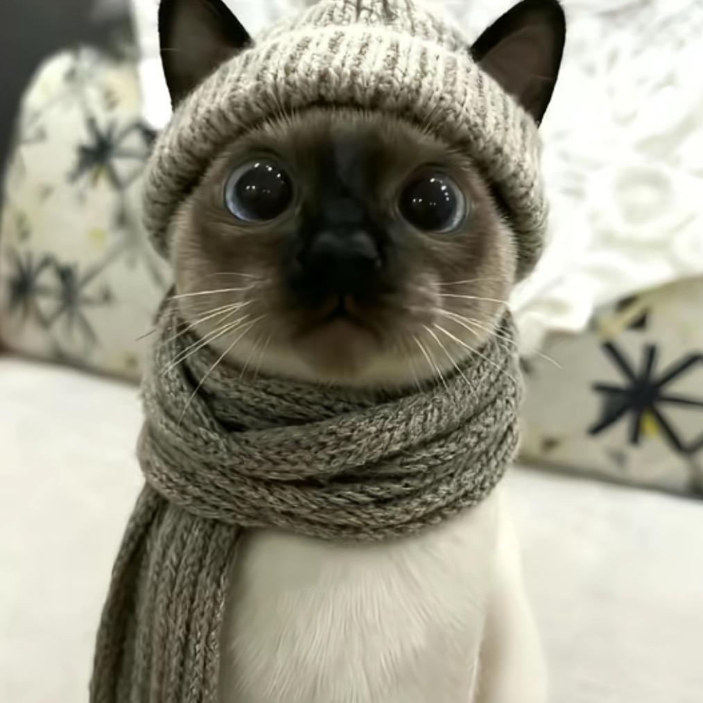 糖醋里脊（不To）