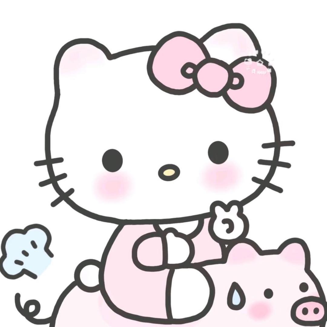 芯小美.
