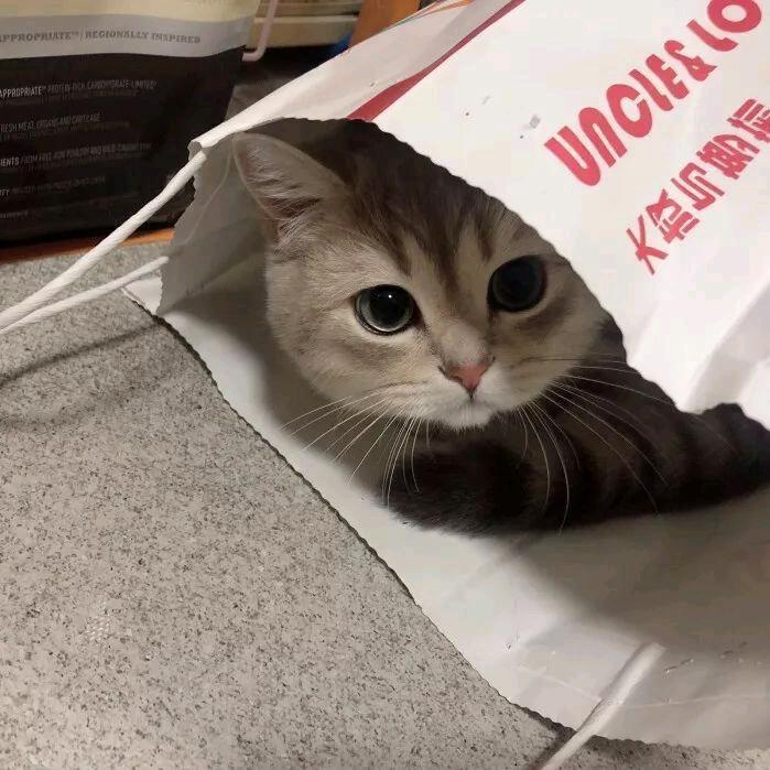 失雾了.