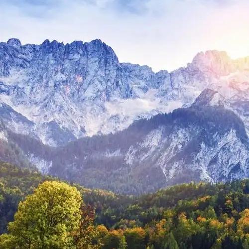 姚安蒋泰咏百货严选店