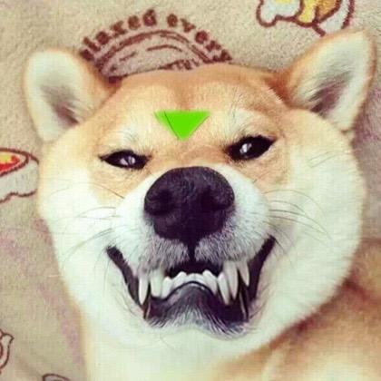 仙月
