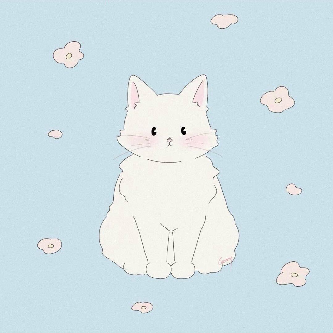 Haoᴗo