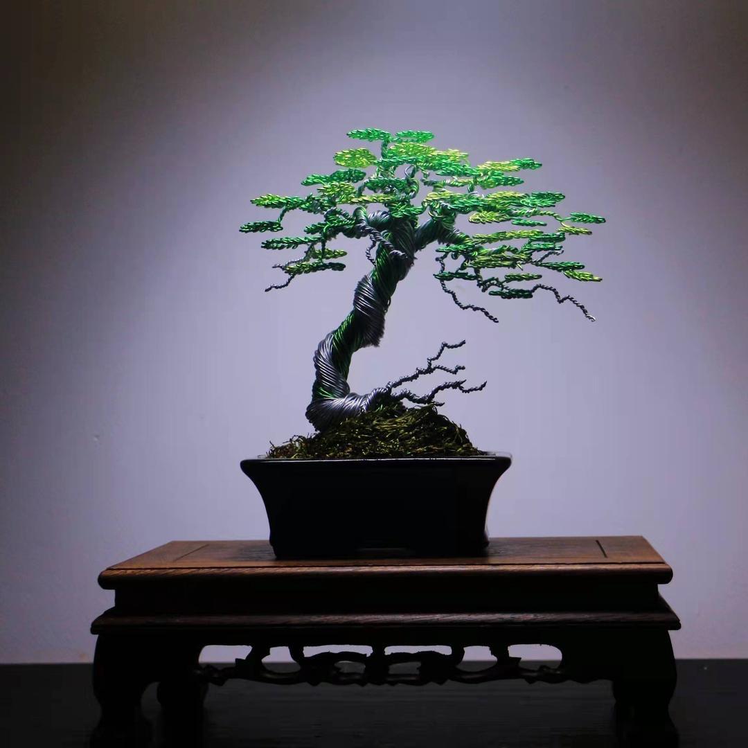 疯狂盆景手工制作