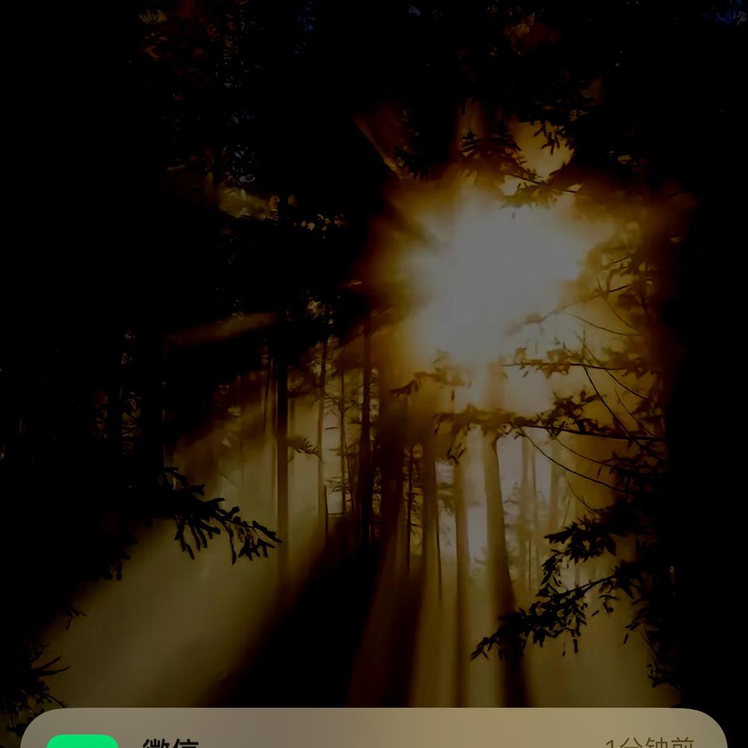 用户65823485626261942