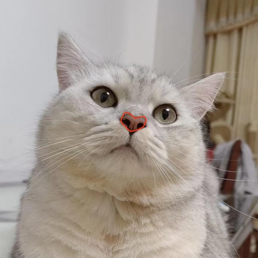 胖纸boy