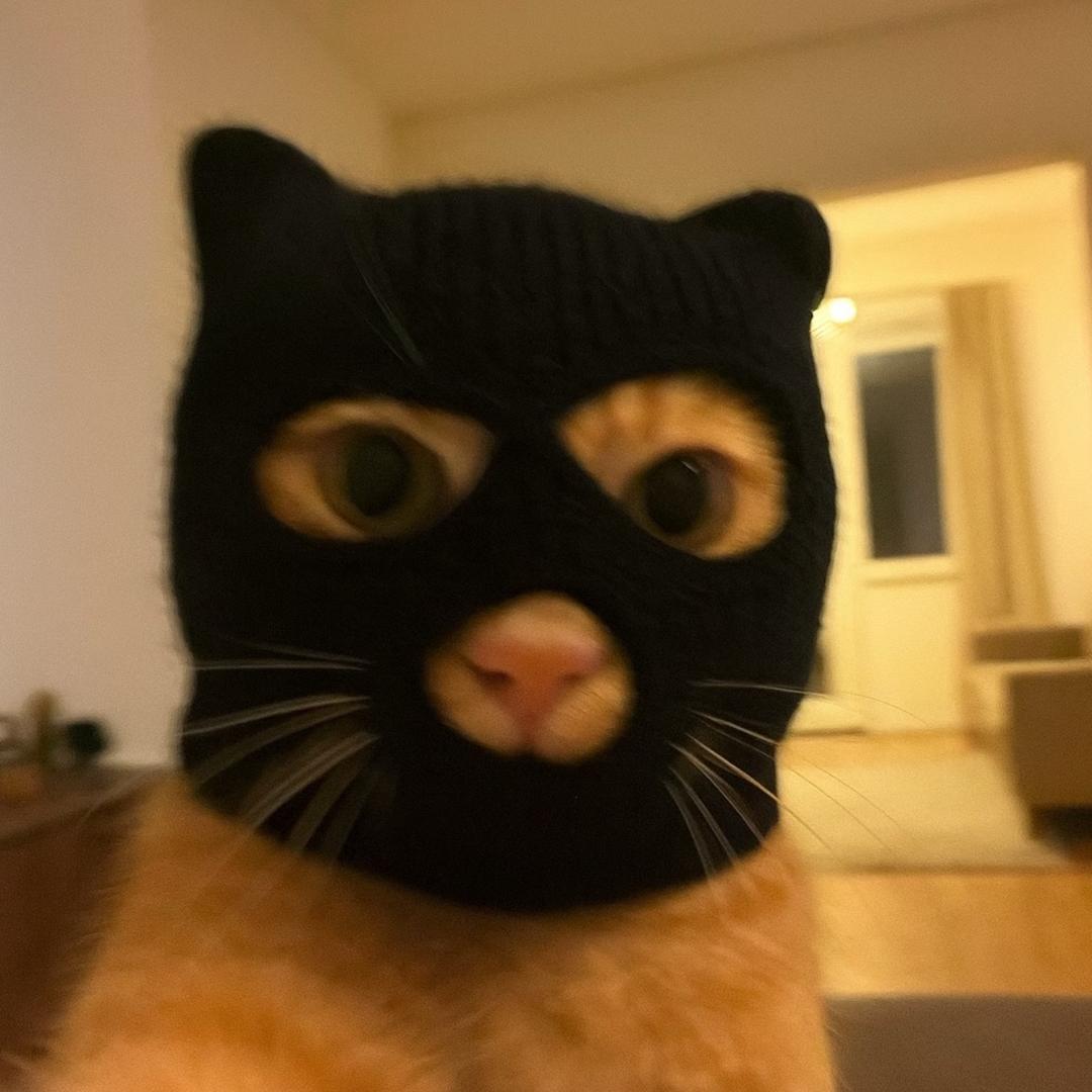 ᥫᩣᵕ̈ 猫猫_✨