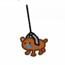 🐻🐾