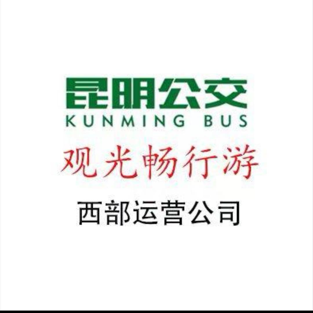昆明公交畅行游杨新
